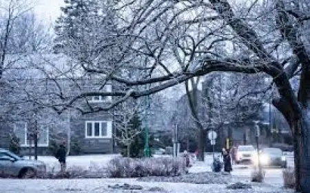 Ice Storm School Closures Signal Widespread Power Outages in Quebec
