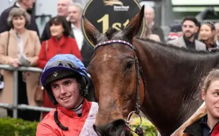 Henry De Bromhead vs Darragh O’Keeffe: Veteran Horses Versus Jockey Succession