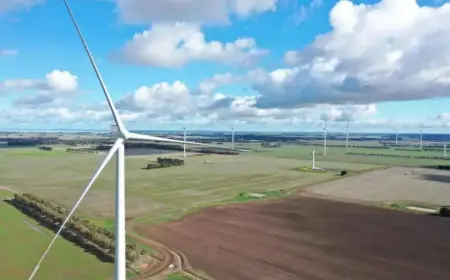 Renewable Growth Cuts Electricity Bills in State with 50% Green Energy Mix