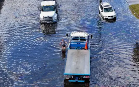 Impending Strong El Niño Weather Pattern Predicted by NPR