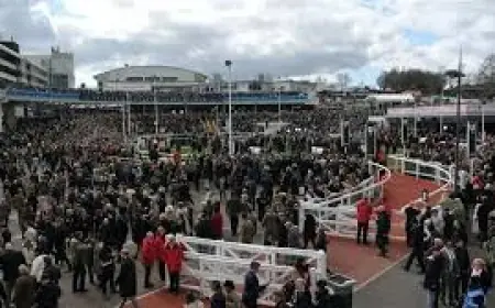 Meetmebythesea Delivers 4.40 Cheltenham Result for Ben Pauling and Ben Jones