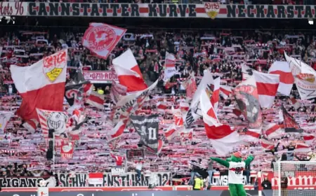 Vfb Stuttgart Vs Porto: Stuttgart Fans Face a Champions-League-Level Examination