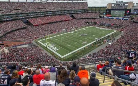 Foxborough Finalizes Agreement with Krafts for World Cup License