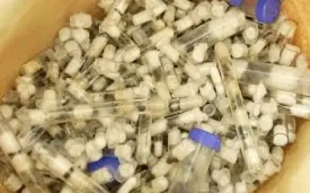 Zhang Kequn Arrested as Kenyan Queen Ants Found Hidden in Luggage