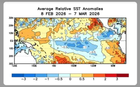El Niño Return Signals Rapid Shift in Pacific Climate