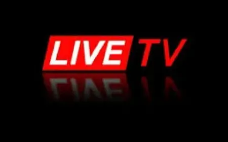 Celta Vigo Vs Lyon Match Proceeded Despite Reports of Ultras Attack