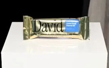 David Protein Bar lawsuit claims testing found bigger gaps than label limits