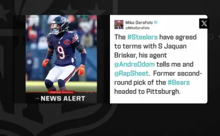 Steelers Sign Former Bears S Jaquan Brisker on One-Year Deal