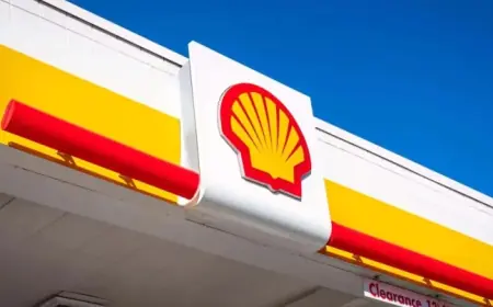 Shell CEO Earns 60% Pay Rise as Profits Fall and Share Gains Persist