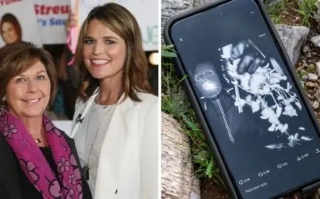 Nancy Guthrie Update Today: Day 41 Search Shifts as Cadaver Dogs Pulled, Task Force Zeroes In