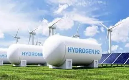 Namibia’s coastal communities and succulents brace as Hydrogen project advances