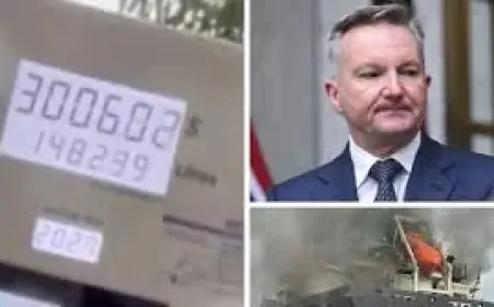 Grace Tame Critiques Anthony Albanese While Pointing to Government War Support