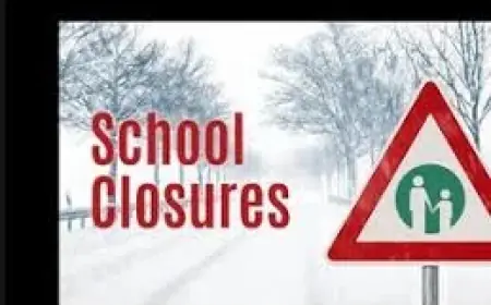 Families in P.E.I. face School Cancellations after overnight freezing rain