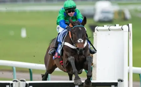 The New Lion and British hopes in a fiercely competitive Dawn Run