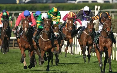 Grand National 2026 tickets on sale, fine print flags resale and extras