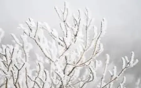 Holly O’Neill’s forecast meets new Weather Warnings Snow across Ireland