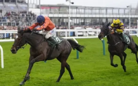 John Blackwell vs. Missing Game Details: What the comparison reveals