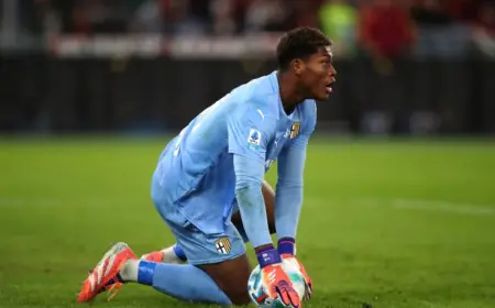 Torino Vs Parma: Suzuki’s return vs his pre-injury Serie A record