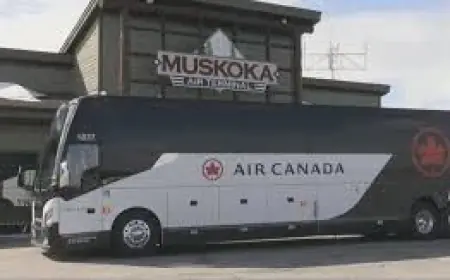 Pearson Airport bus link expands Sarnia travel options