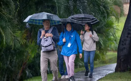 Heco Power Outage warnings clash with limited outage detail as storm closures expand