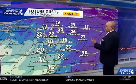 West Penn Power Outage leaves county offices and neighborhoods waiting on calmer winds