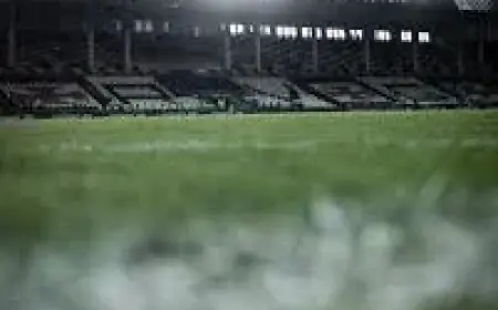 Greenacre interim again as Wellington Phoenix Vs Perth Glory spotlights performance gap