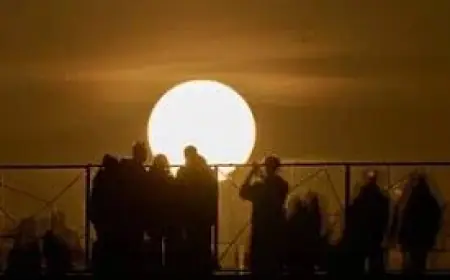 Moscow Businesses Struggle as Cellphone Internet Restrictions Hammer City Center