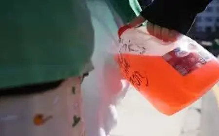 St Patricks Day Parade 2026 in South Boston Could Bring Tougher Drinking Crackdown After BORG Concerns