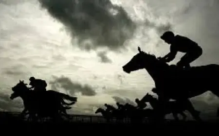 Tyrone Williams: Chesterfield Fc Defender Retires At 31 After Serious Injury