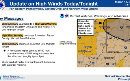 High Wind Warning Vs. High Wind Watch: What the Difference Means and When to Take Action
