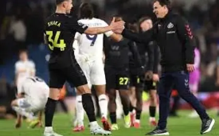 Sunderland – Brighton: Premier League Preview, Le Bris On Attacking Issues And Sutton’s Prediction