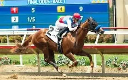 What Is The Triple Crown: Virginia Derby at Colonial Downs Sparks Kentucky Derby Points Race