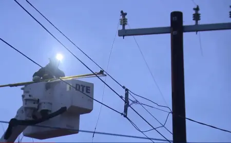 DTE Energy Outage Map: 74,000 Michigan Customers Without Power Saturday After 71 MPH Wind Gusts