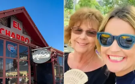 Nancy Guthrie Investigation Update: Day 42 Brings Forensic Breakthroughs and New FBI Leads