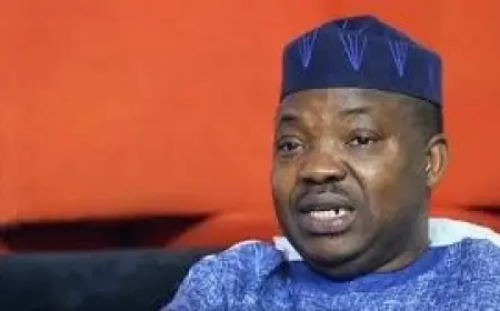 Unforgettable Hero, Yinka Odumakin