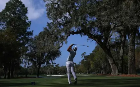 Pga Players Championship At TPC Sawgrass Leaves Ludvig Aberg In Command, McIlroy And Scheffler Scramble