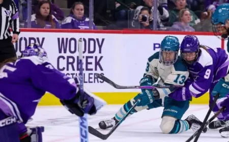 Pwhl Standings: Minnesota Frost Home Win Sparks Gap In League Race