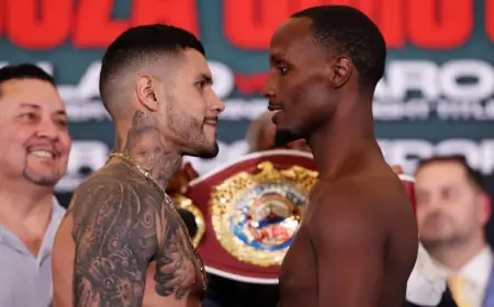 Boxing Tonight: Barboza Vs Sims Headlines Anaheim While Dickens Defends In Dublin