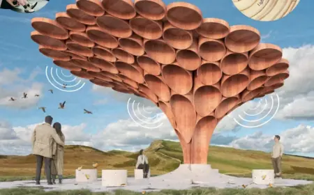 Public Invited To Pick Sycamore Gap Tree Artwork Commission