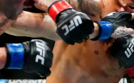 UFC Vegas 114: Bolaji Oki vs. Manoel Sousa Predictions & Odds