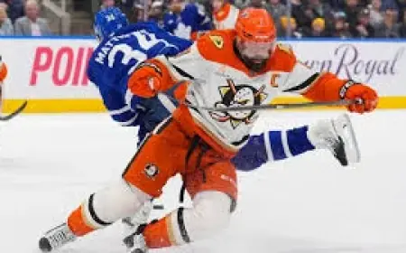 Toronto Maple Leafs in Toronto Push for Harsher Discipline After Gudas Suspension