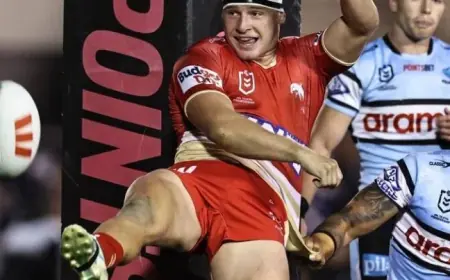 Dolphins Vs Titans: Mad Max And Raging Ray Back To Get Dolphins On Track