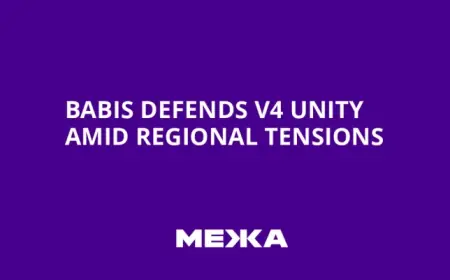 Lindblad: Babiš Defends V4 Unity in Berlin Sparks Concern Over Regional Cooperation