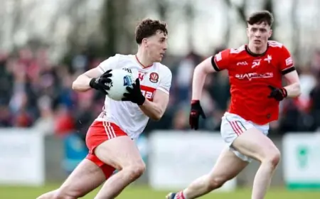 Allianz Football League Division 2: Louth Beat Derry in Ardee, Keeping Promotion Bid Alive