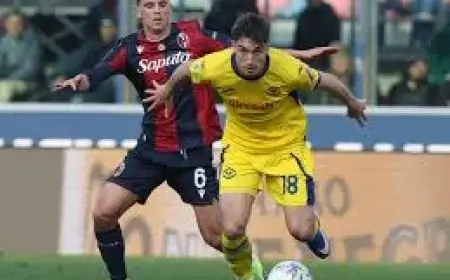 Verona Vs Genoa Serie A Match Leaves Hellas Verona Facing Uphill Survival Task