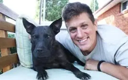 Dog Saved After Tech Boss Uses ChatGPT to Create a Cancer Vaccine, Reports Say