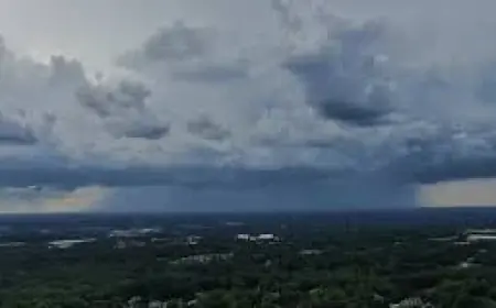 Msp Airport Cancellations Begin as Delta Takes Proactive Steps Ahead of Snowstorm