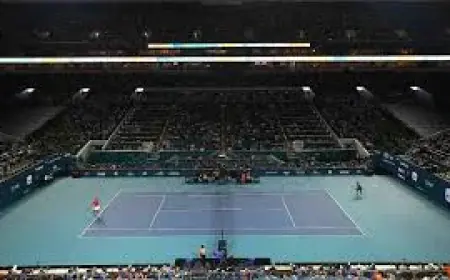 Miami Open Wild Cards Spotlight Venus Williams, Sloane Stephens and Tagger as WTA Spots Are Handed Out