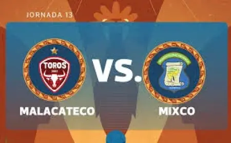 Craig Mcleish Set To Act As Caretaker As McGinn And Young Respond To Robinson Exit