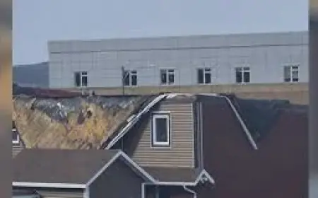 Yellow Warnings Issued As Icy Conditions Close Schools On Newfoundland’s West Coast